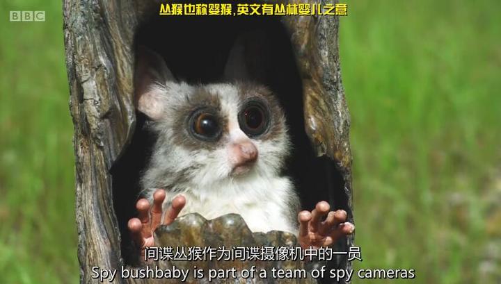 群像式深海之下